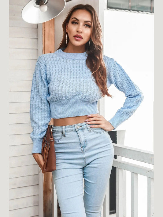 Round Neck Long Sleeve Cropped Sweater Trendsi