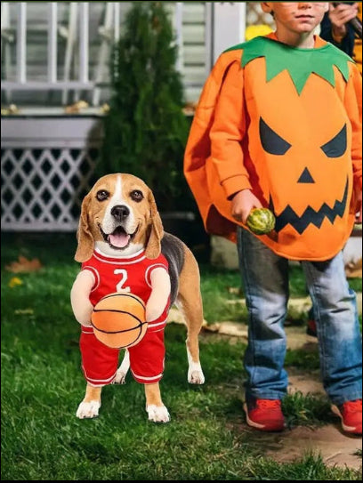Adorable Basketball Player Dog Costume with Ball - Perfect for Halloween and Cosplay!