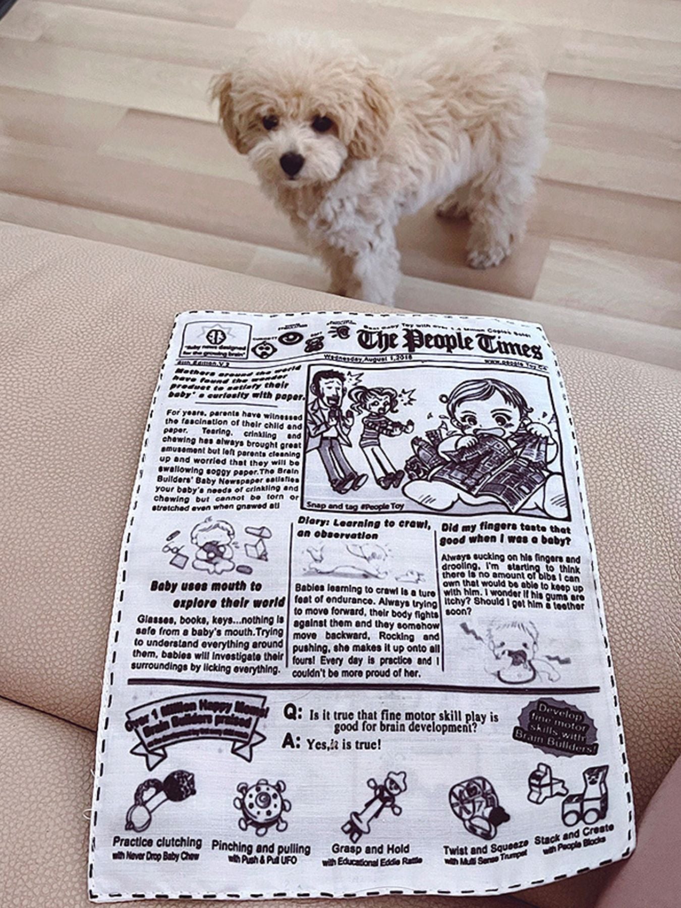 Newspaper Style Pet Sound Toy nicholesgifts