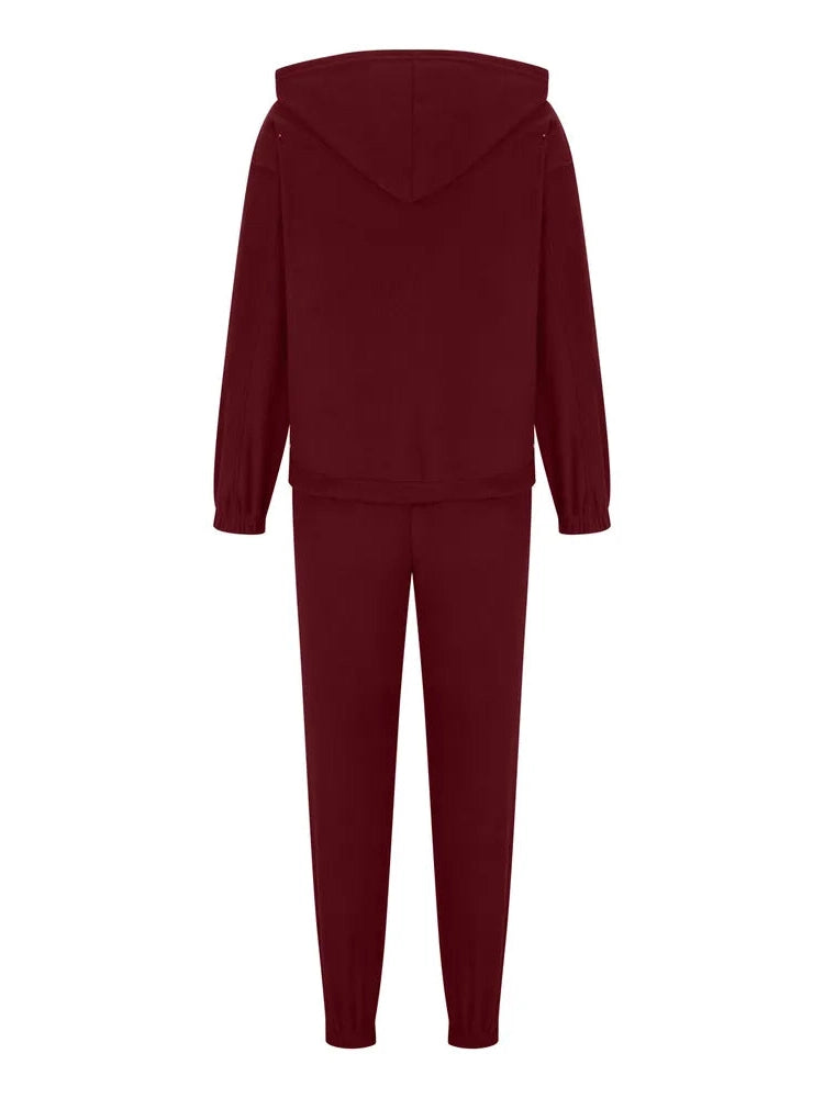 Zip Up Long Sleeve Hoodie and Joggers Set nicholesgifts