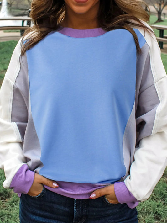 Exposed Seam Colorblock Patchwork Ribbed Trim Sweatshirt