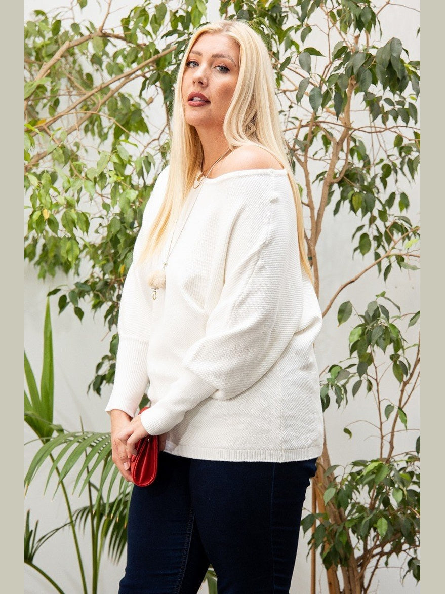 Plus Size Women Round Neck Long Sleeve Solid Sweater NicholesGifts