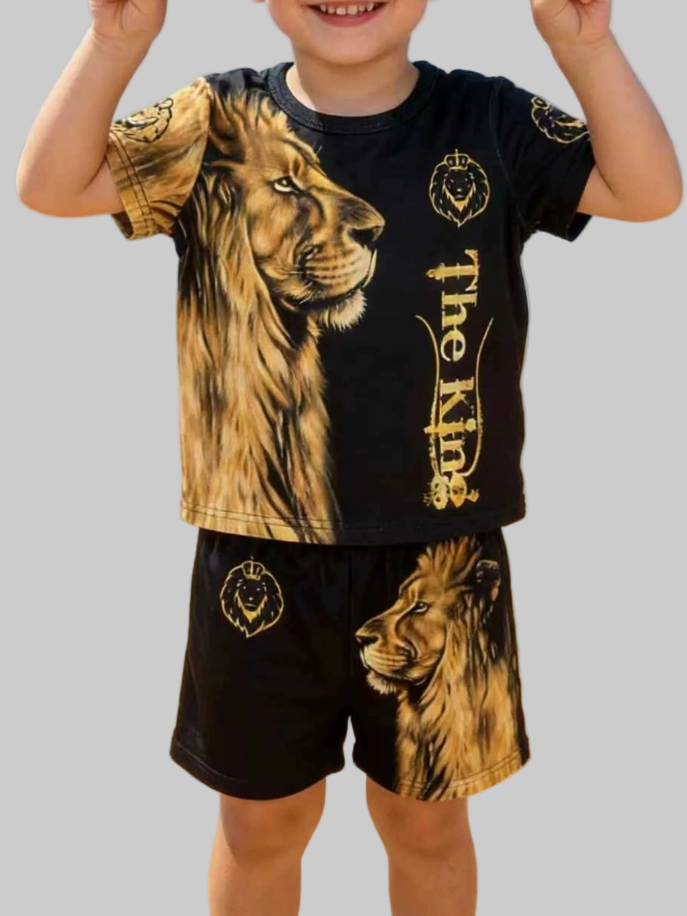Toddler Boys King Graphic Short Sleeve Tee and Shorts Set nicholesgifts 