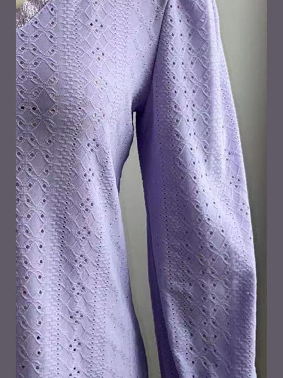 Eyelet V-Neck Flounce Sleeve Blouse