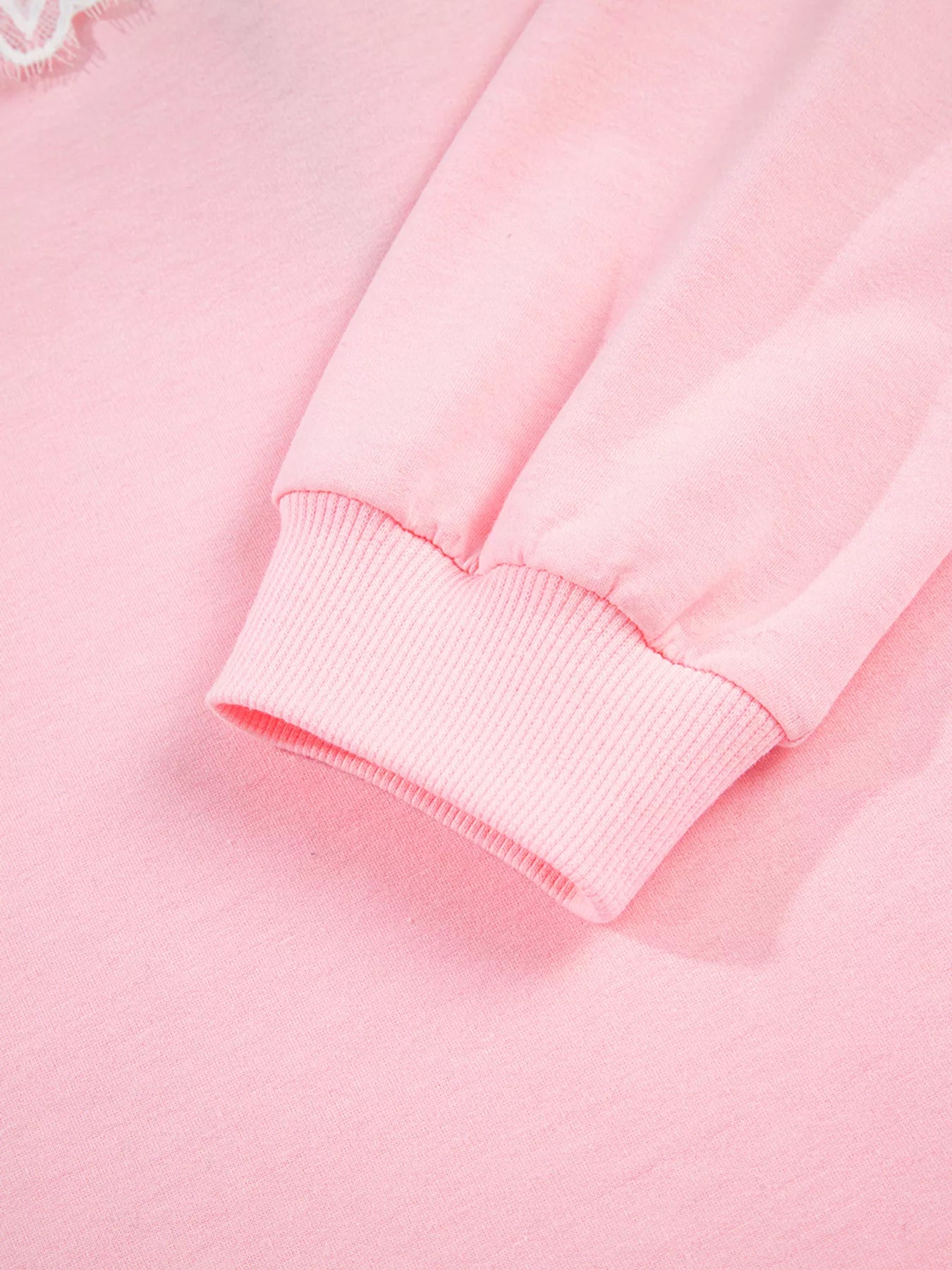 Peter Pan Lace Embellished Neck Sweatshirt and Skirt Two Piece Set NicholesGifts