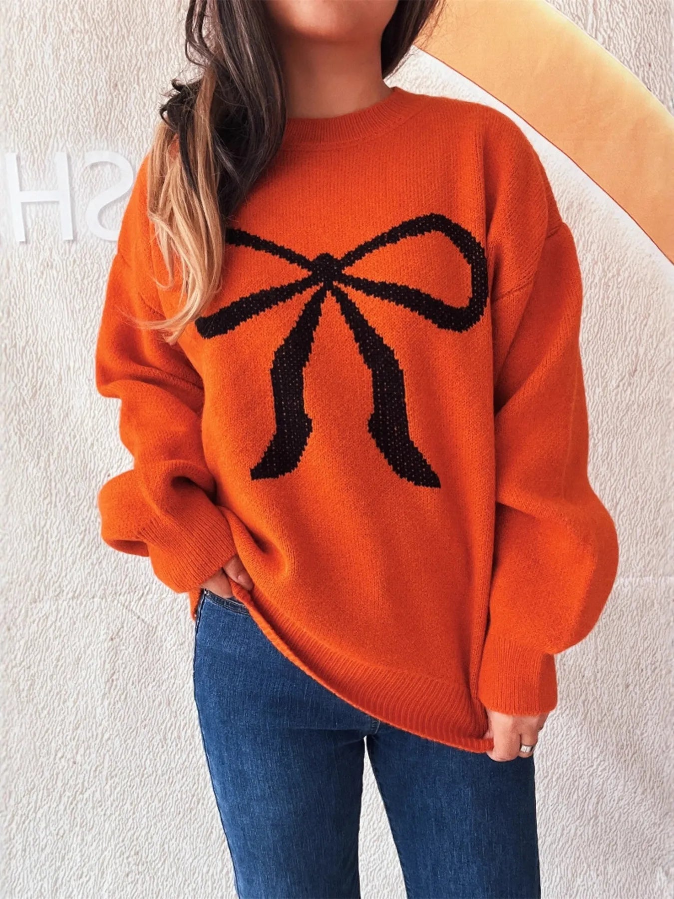 Bow Pattern Casual Long Sleeve Sweater