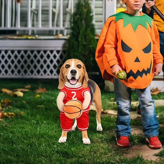 Adorable Basketball Player Dog Costume with Ball - Perfect for Halloween and Cosplay!