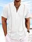 Men's Full Size Button Detail Short Sleeve Shirt Plus Size nicholesgifts