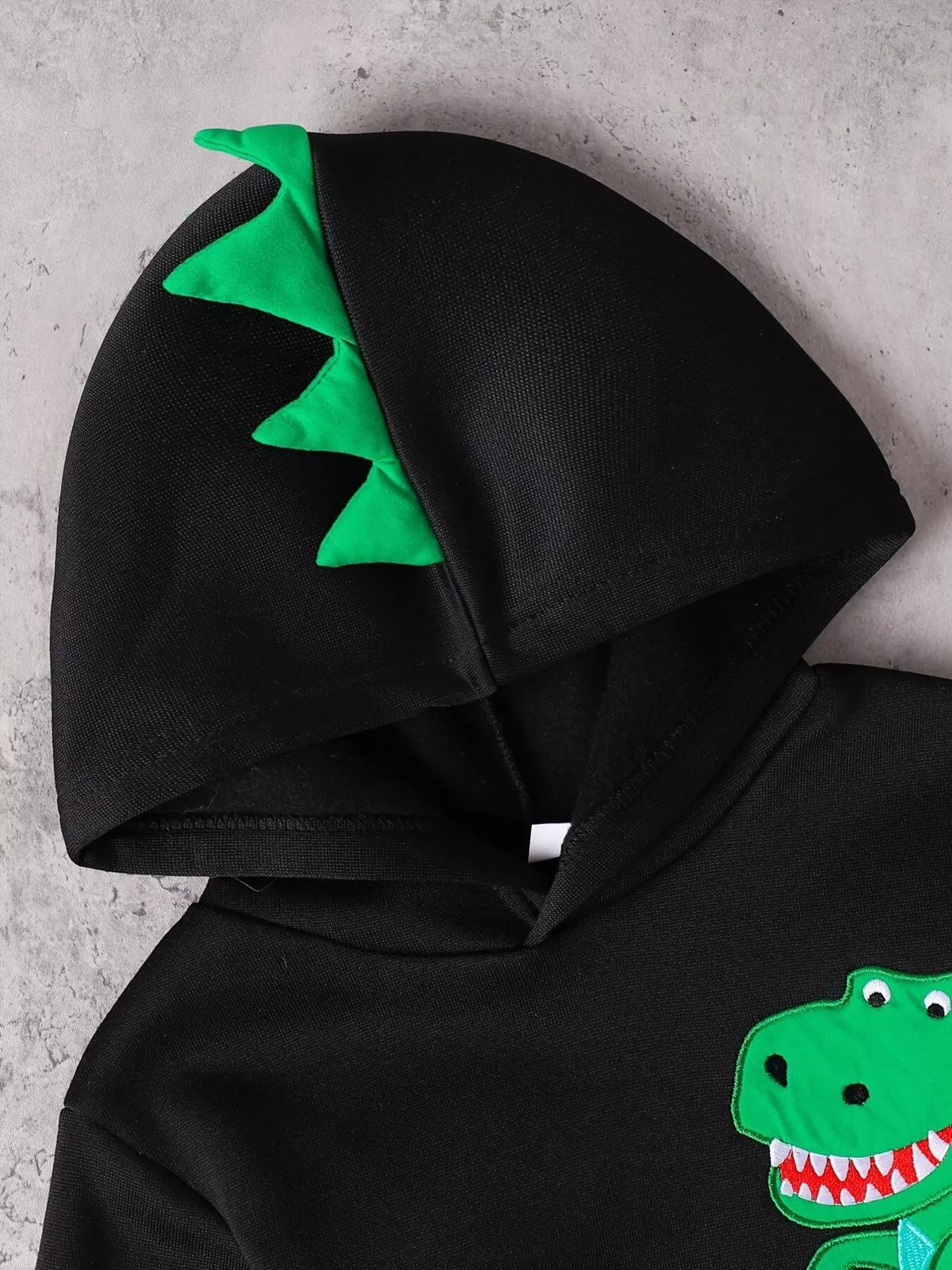 Children's Dinosaur Graphic Hoodie & Pants Set NicholesGifts