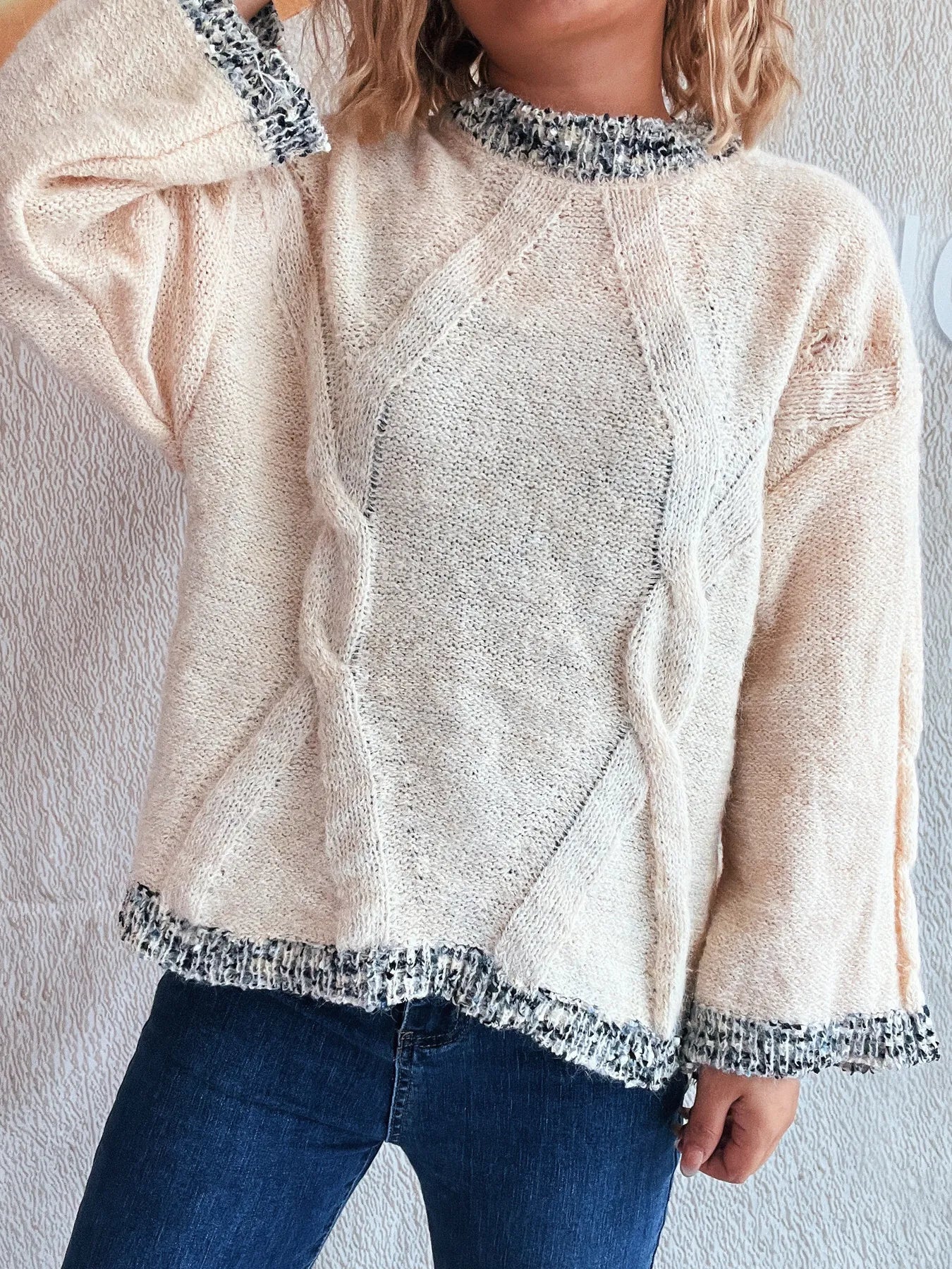 Women Contrast Trim Detail Round Neck Sweater