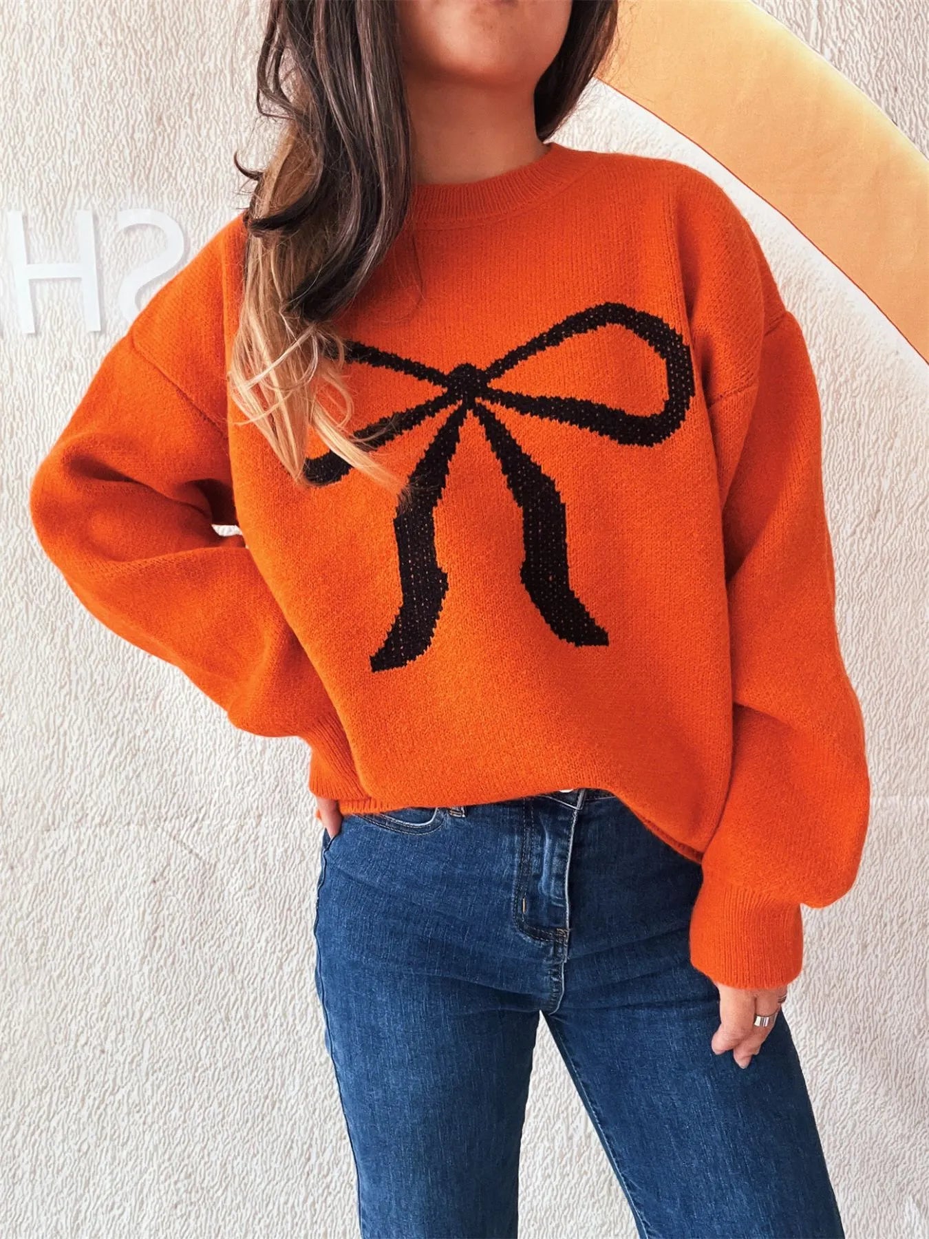 Bow Pattern Casual Long Sleeve Sweater