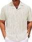 Men's Plus Size Collared Neck Short Sleeve Shirt nicholesgifts