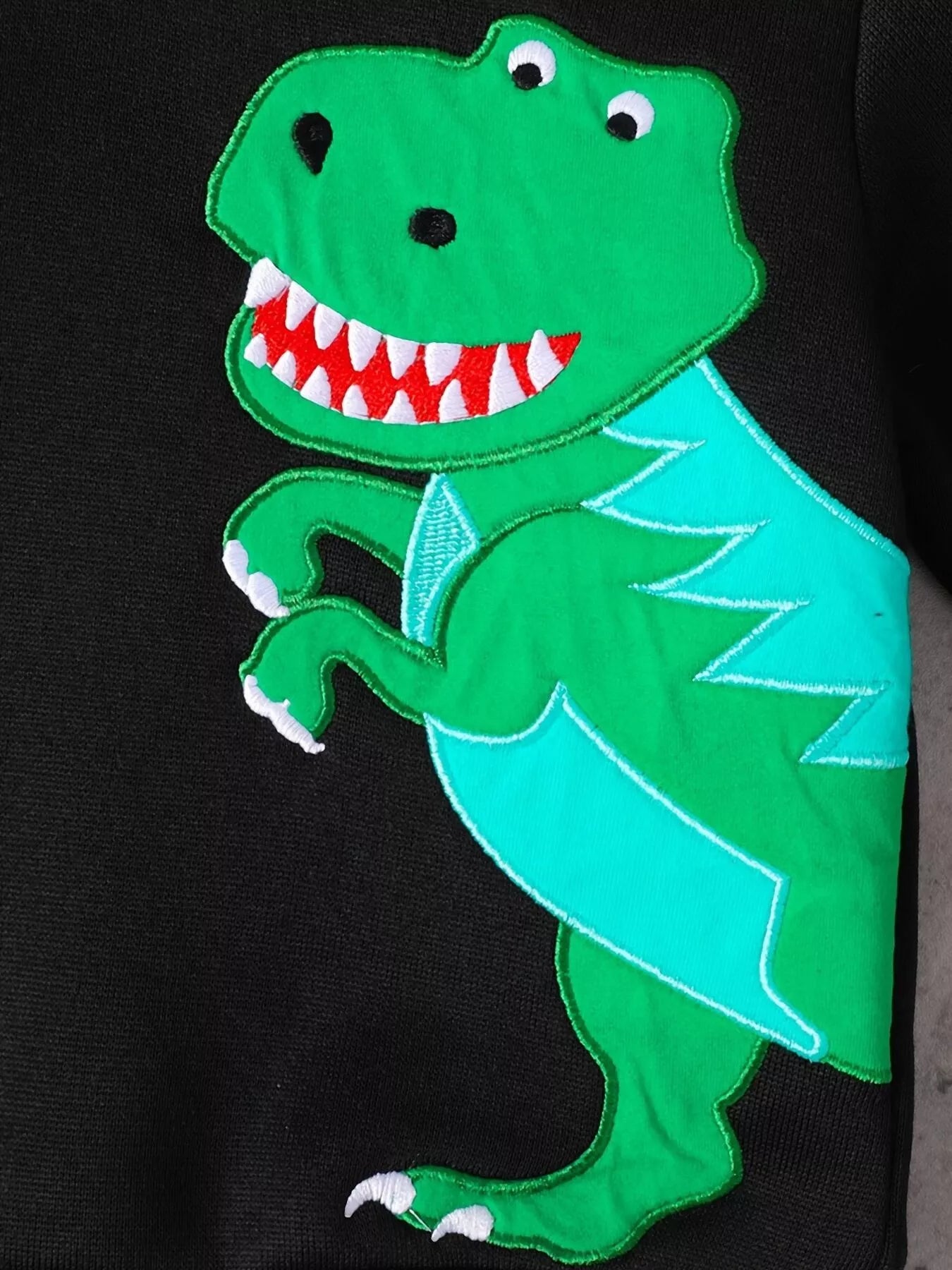 Children's Dinosaur Graphic Hoodie & Pants Set NicholesGifts