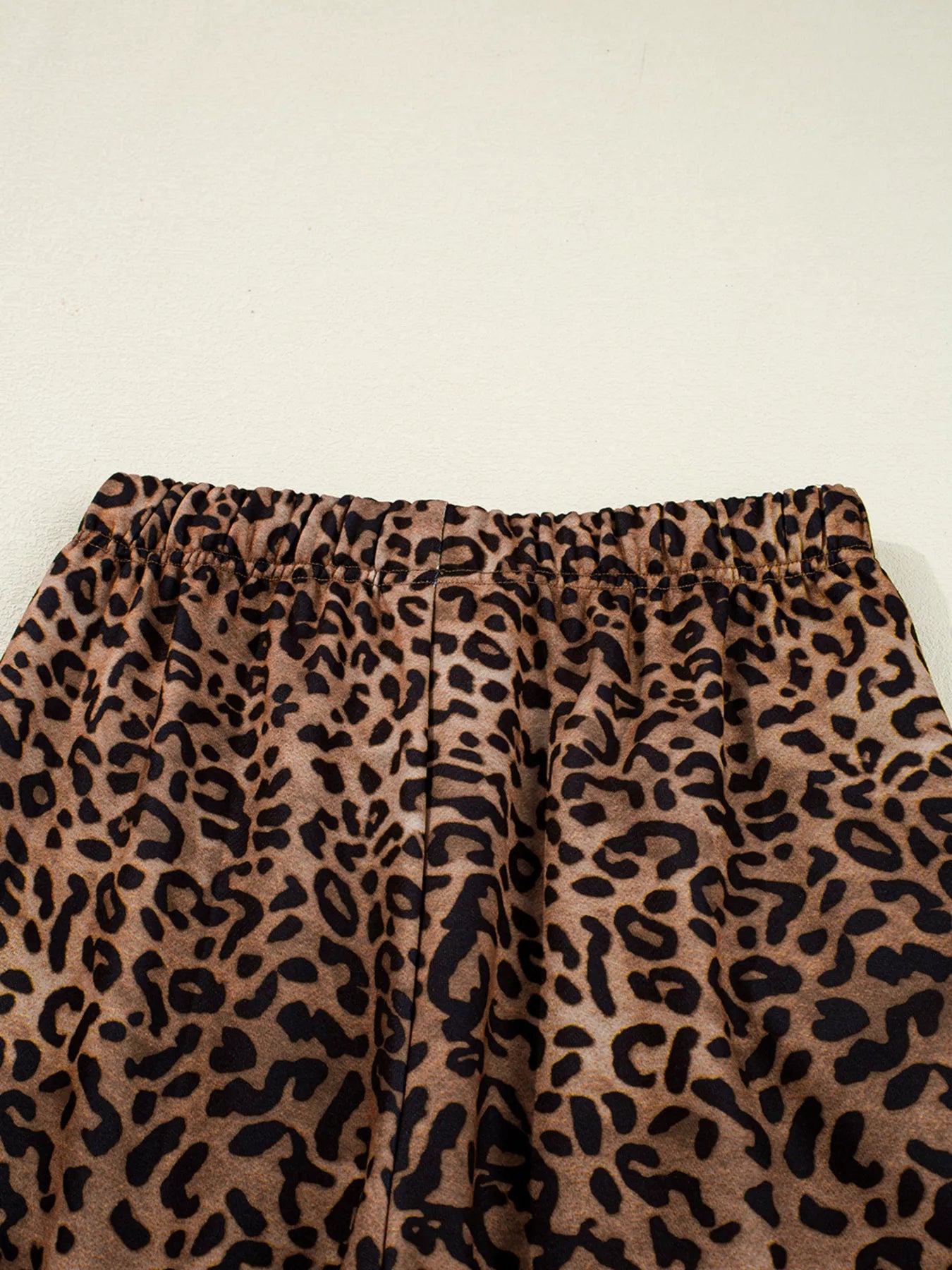 Leopard Print Contrast Trim Long Sleeve Top and Pants Set nicholesgifts