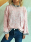 Women Contrast Trim Detail Round Neck Sweater nicholesgifts