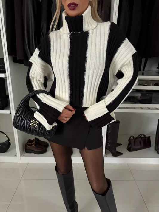 Color Block Ribbed Turtleneck Sweater Trendsi