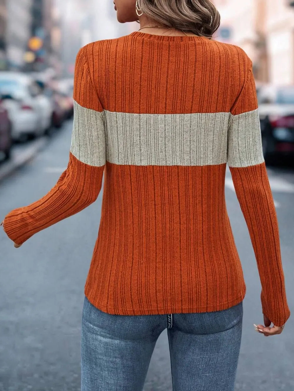 Color Block Round Neck Long Sleeve Top nicholesgifts
