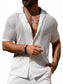 Men's Full Size Openwork Button Down Short Sleeve Shirt Plus Size nicholesgifts