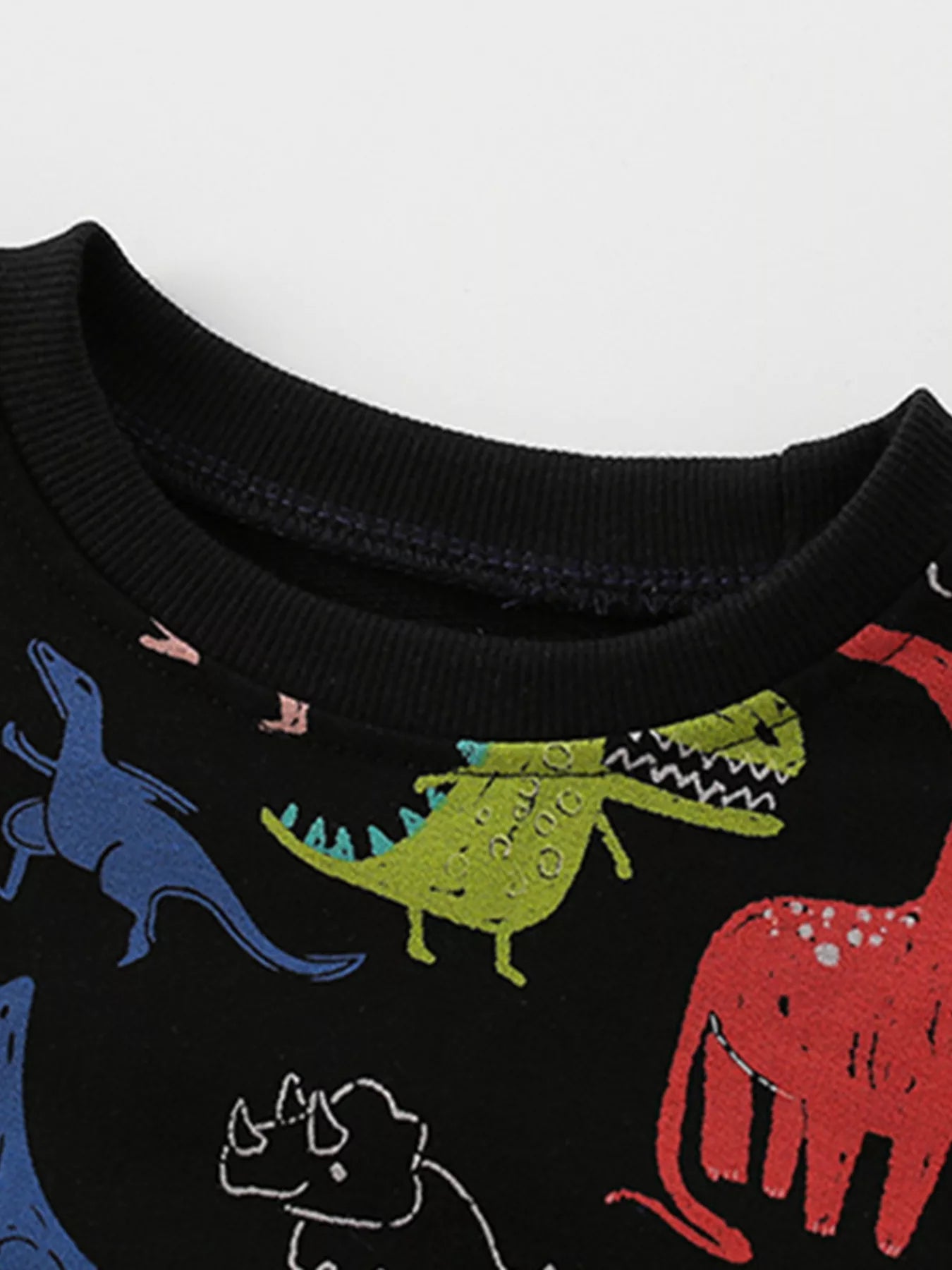 Children's Dinosaur Print Crew Neck Sweatshirt Trendsi