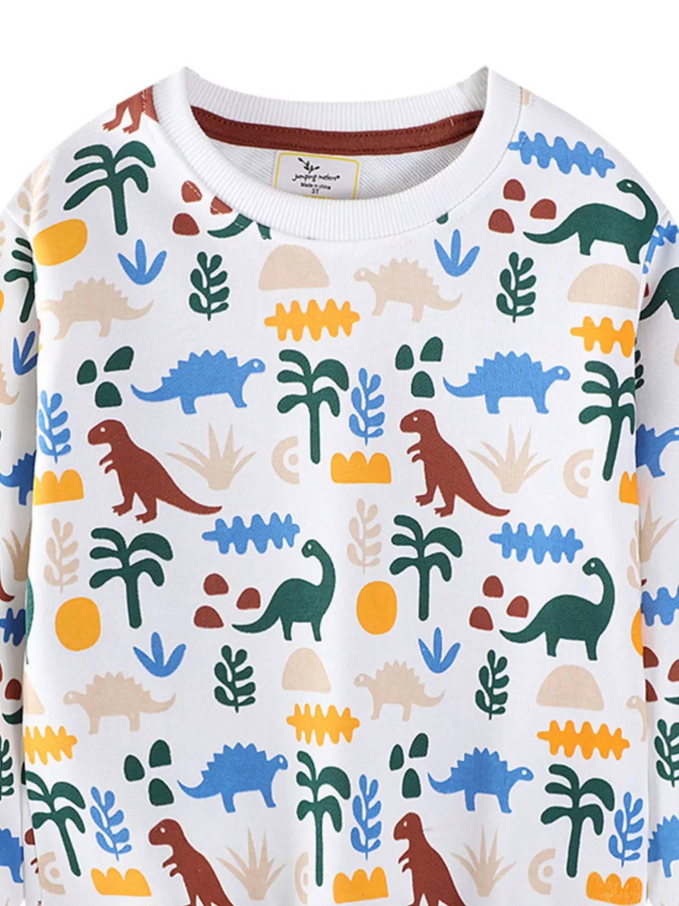 Children's Dinosaur Print Crew Neck Sweatshirt Trendsi