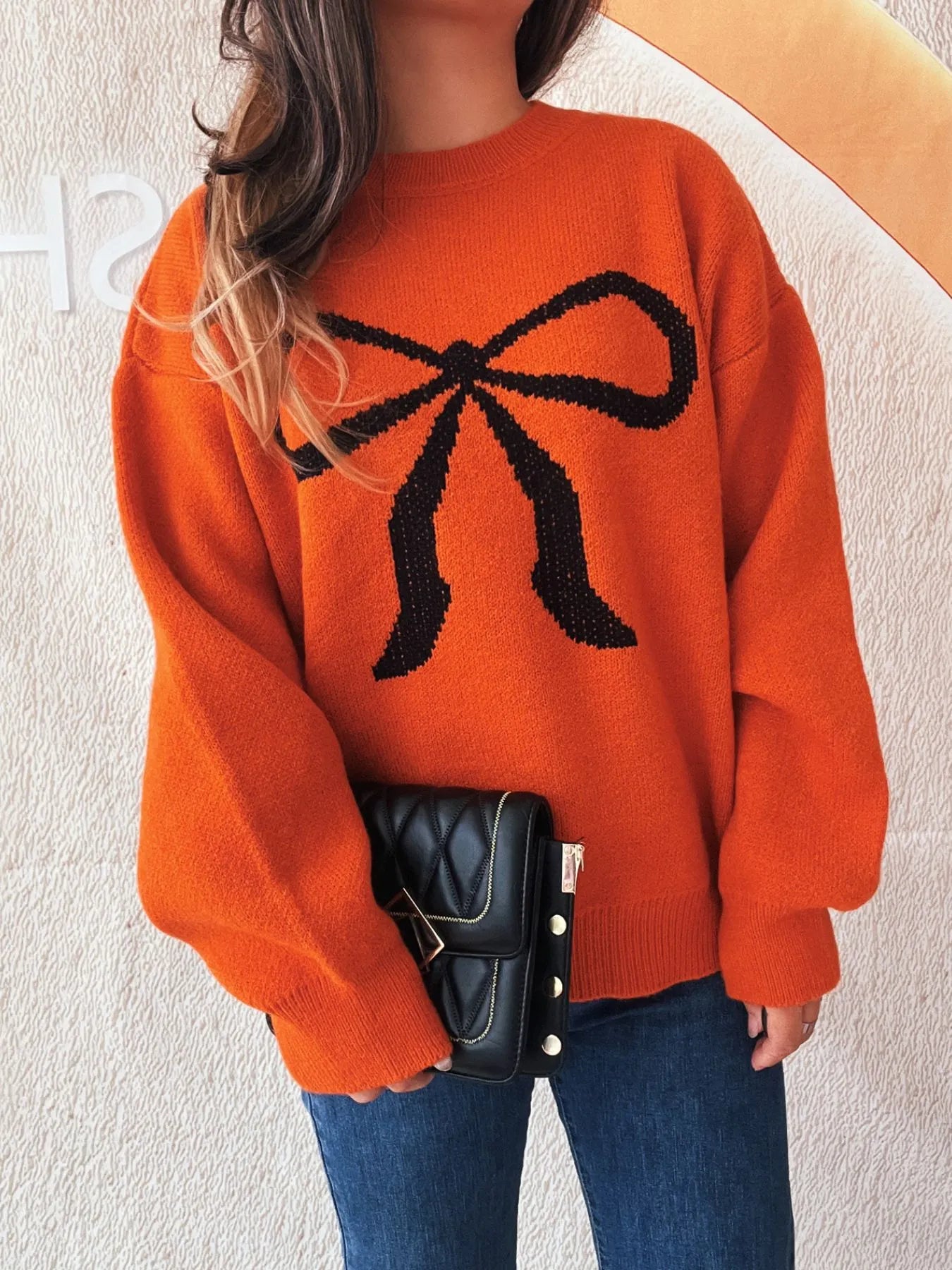Bow Pattern Casual Long Sleeve Sweater