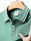 Men's Plus Size Classic Striped Collar Polo Shirt nicholesgifts