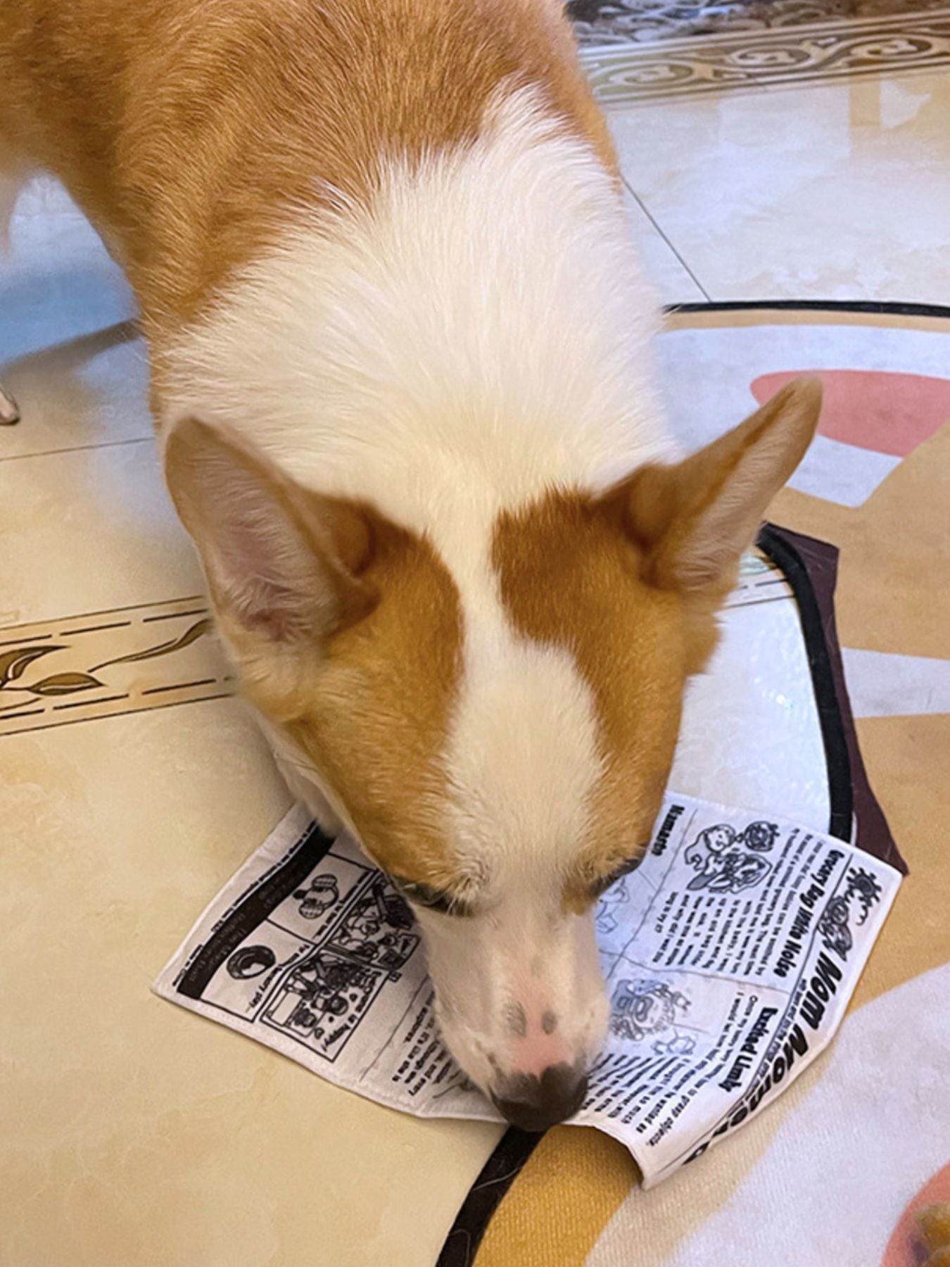 Newspaper Style Pet Sound Toy nicholesgifts