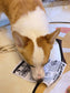 Newspaper Style Pet Sound Toy nicholesgifts