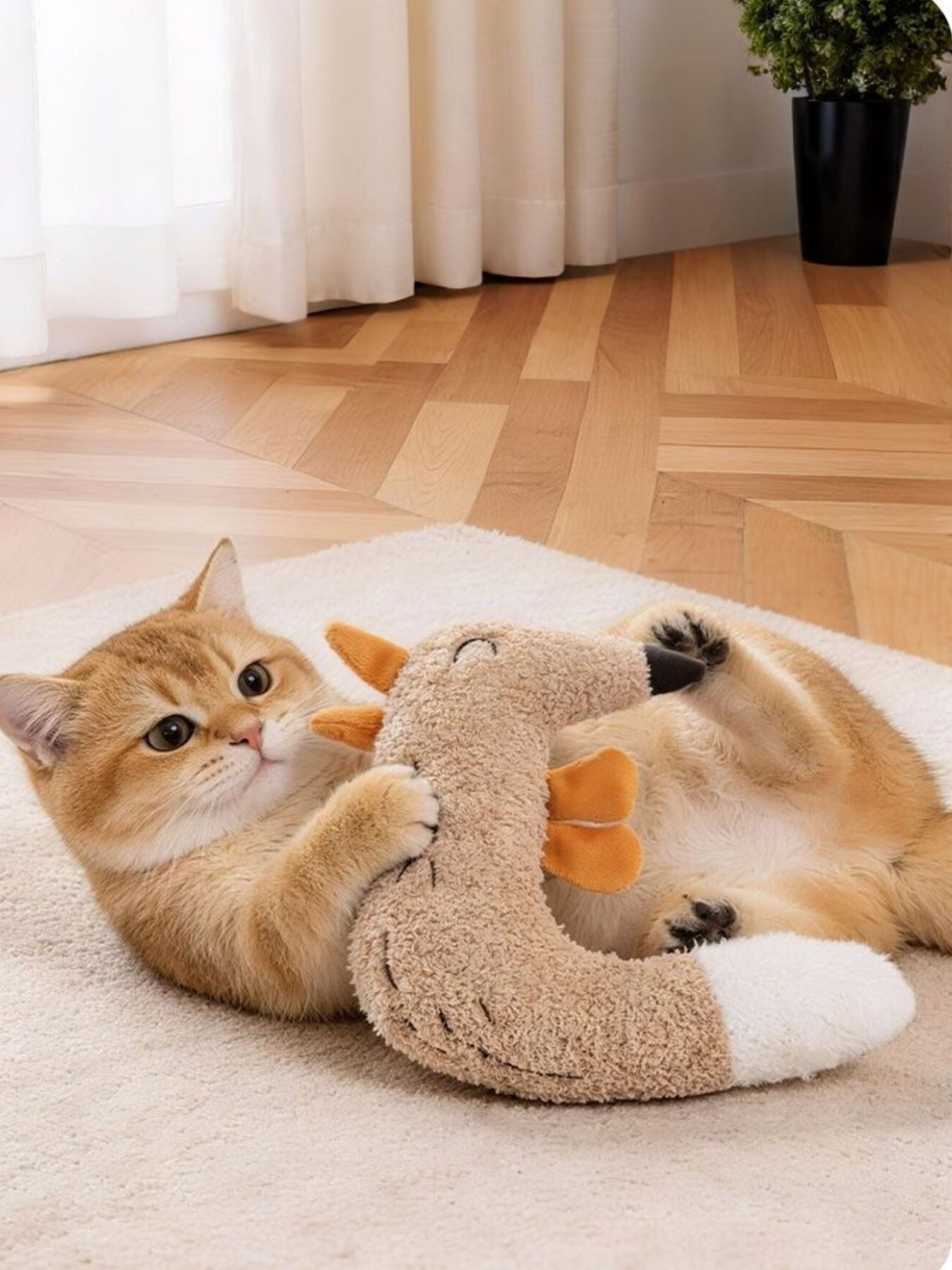 Duck & Fox Design Pet Plush Toys nicholesgifts