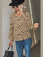Animal Print V-Neck High-Low Blouse nicholesgifts
