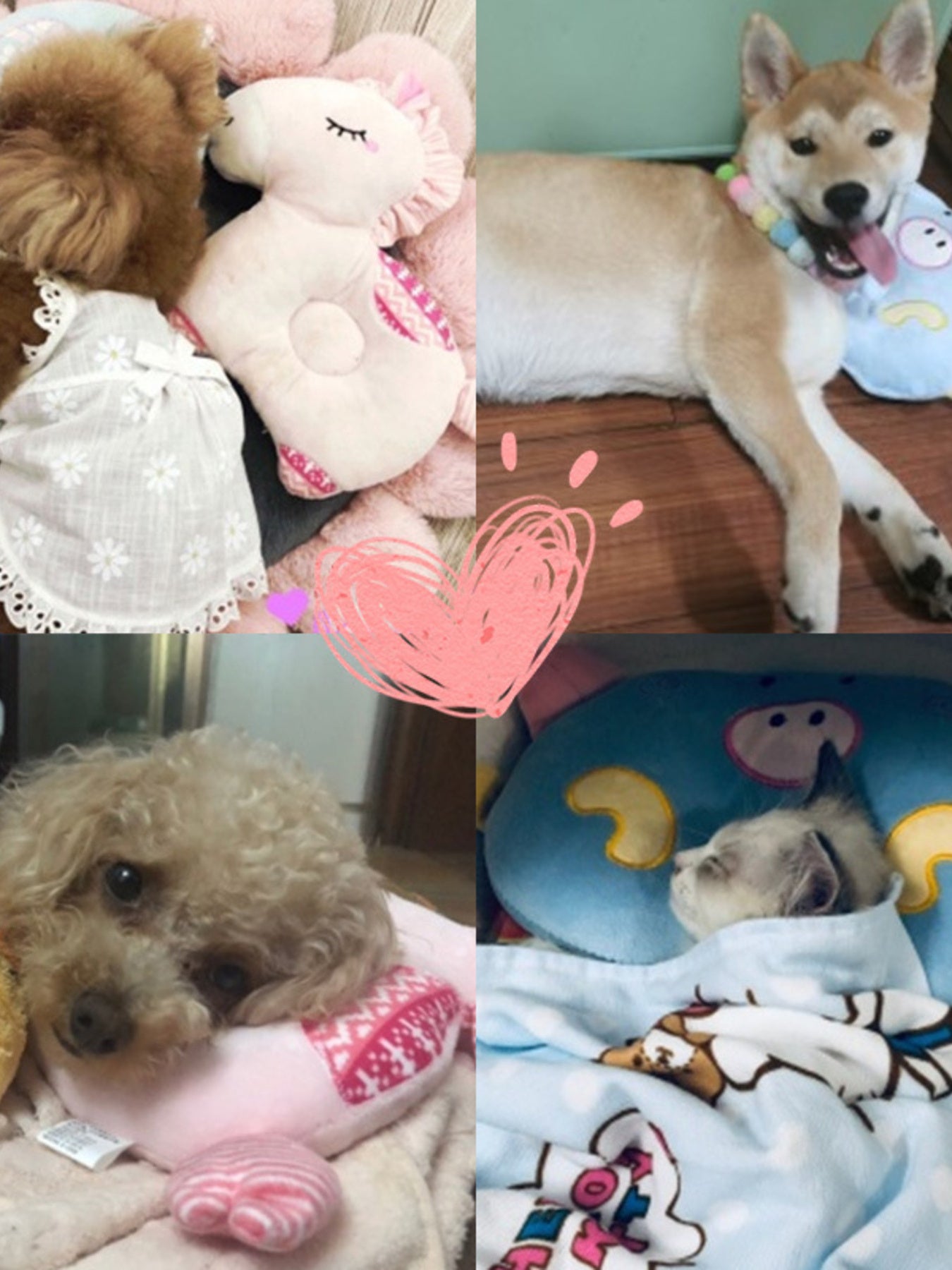 Animal Shaped Head Protection Plush Pillow nicholesgifts