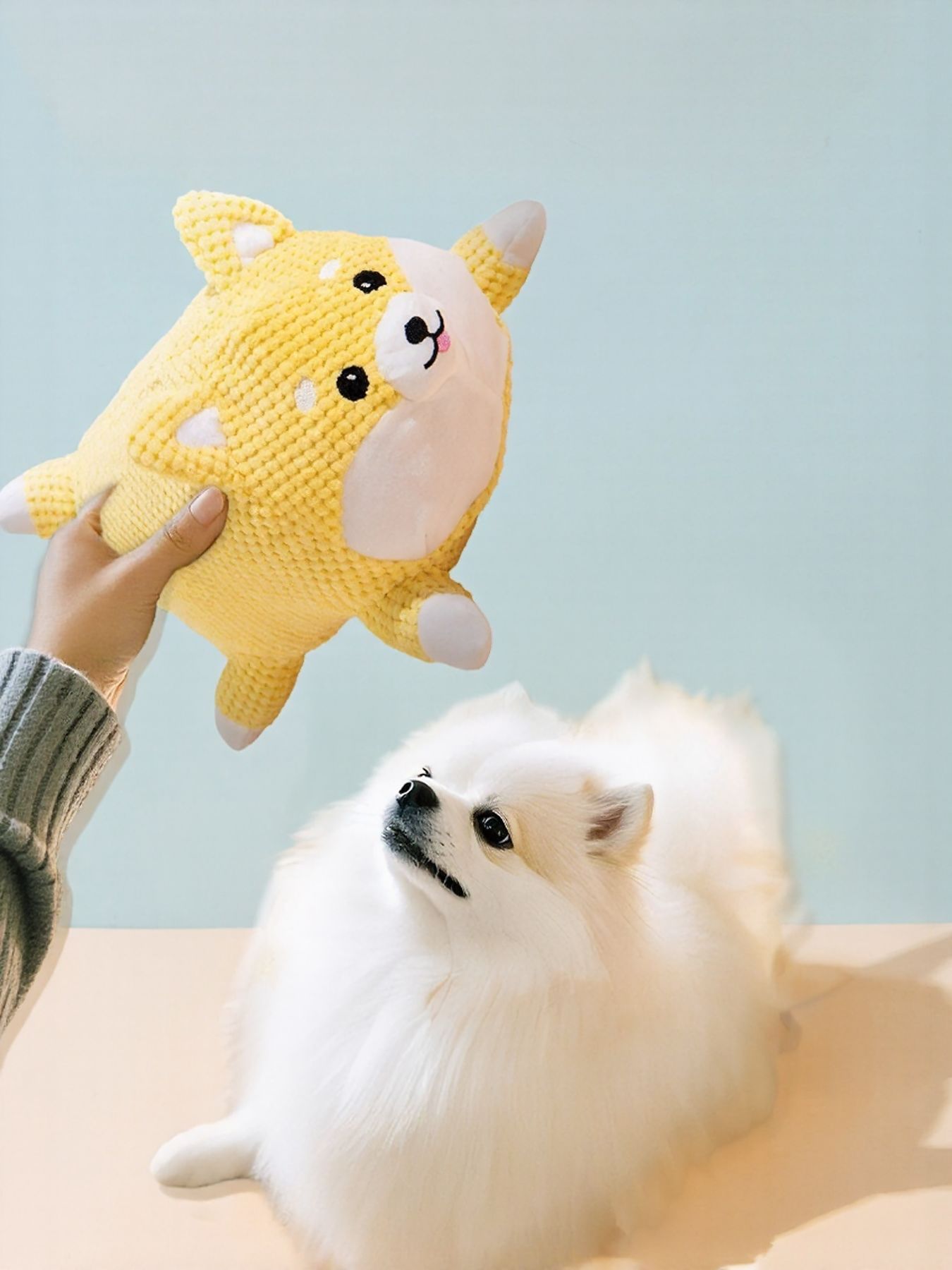 Squeaky Pet Plush Toy nicholesgifts