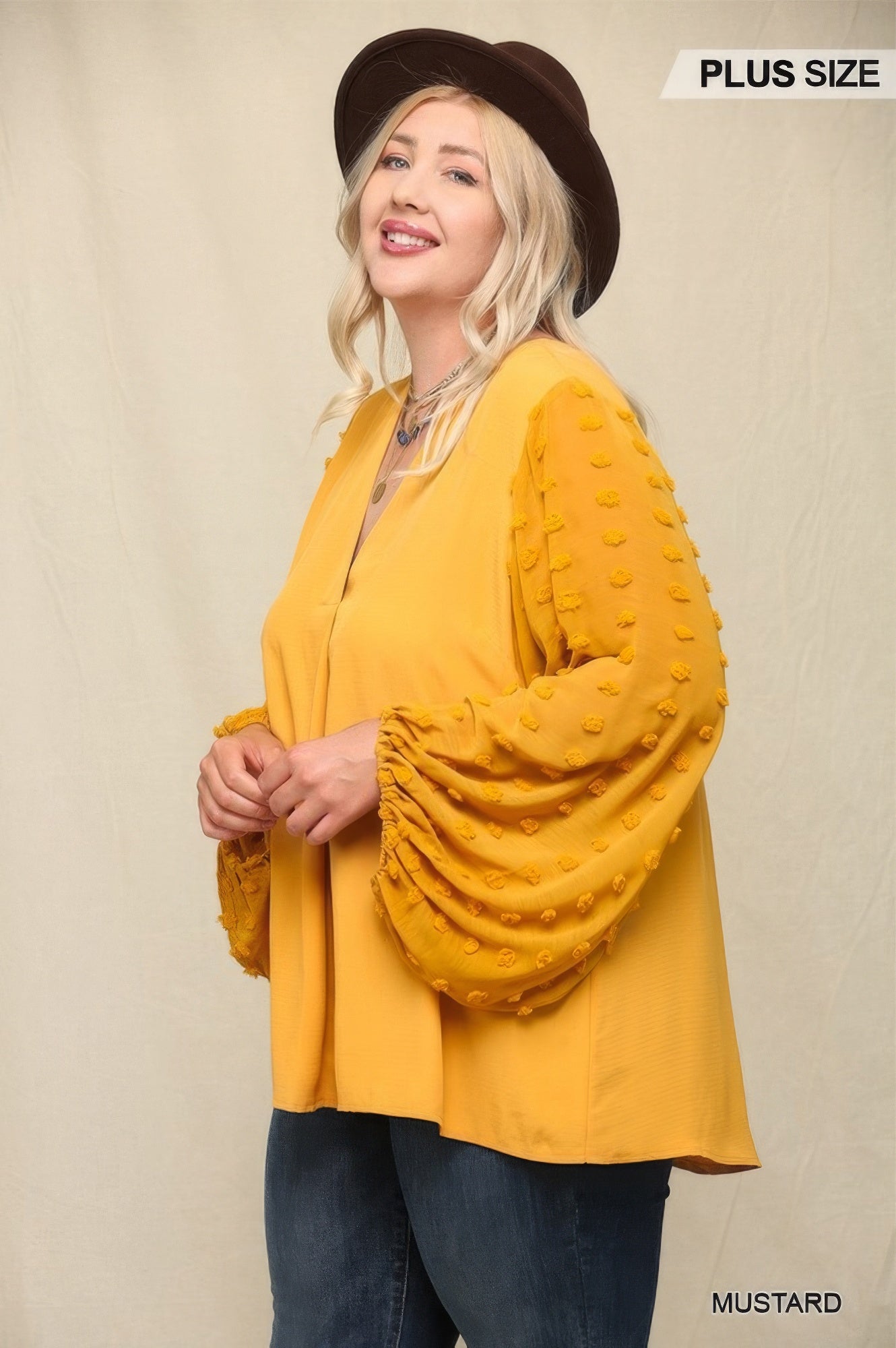 Woven And Textured Chiffon Top With Voluminous Sheer Sleeves NicholeGifts