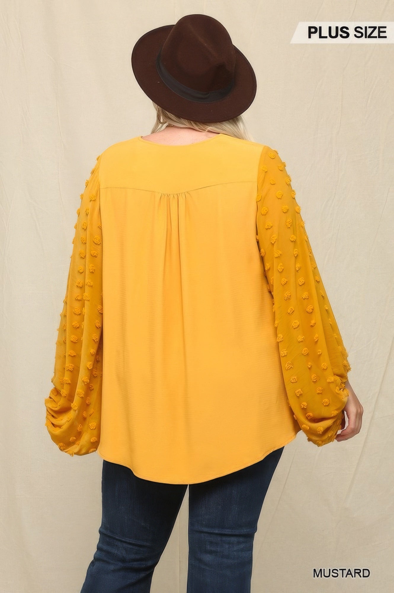 Woven And Textured Chiffon Top With Voluminous Sheer Sleeves NicholeGifts