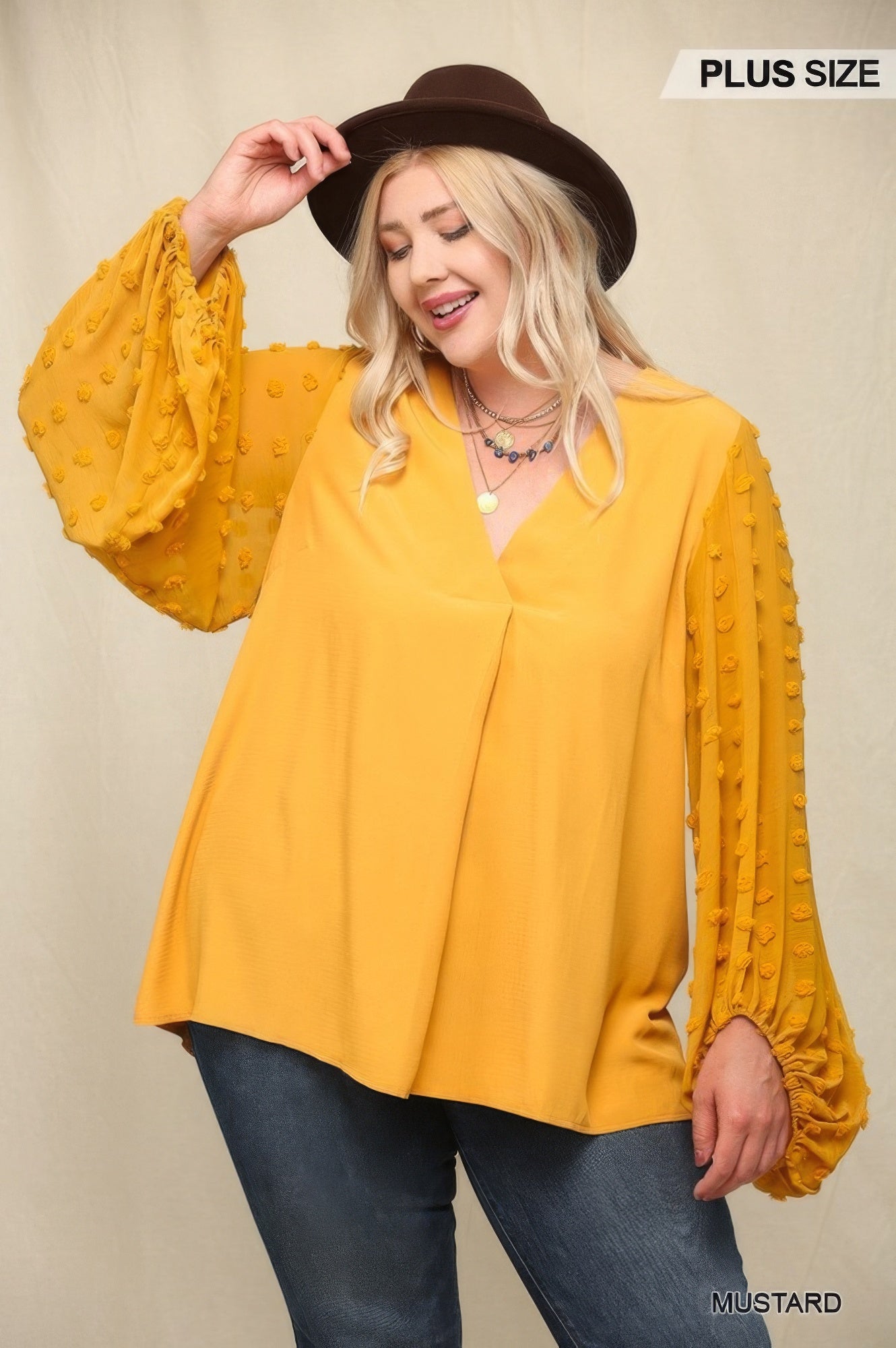 Woven And Textured Chiffon Top With Voluminous Sheer Sleeves NicholeGifts