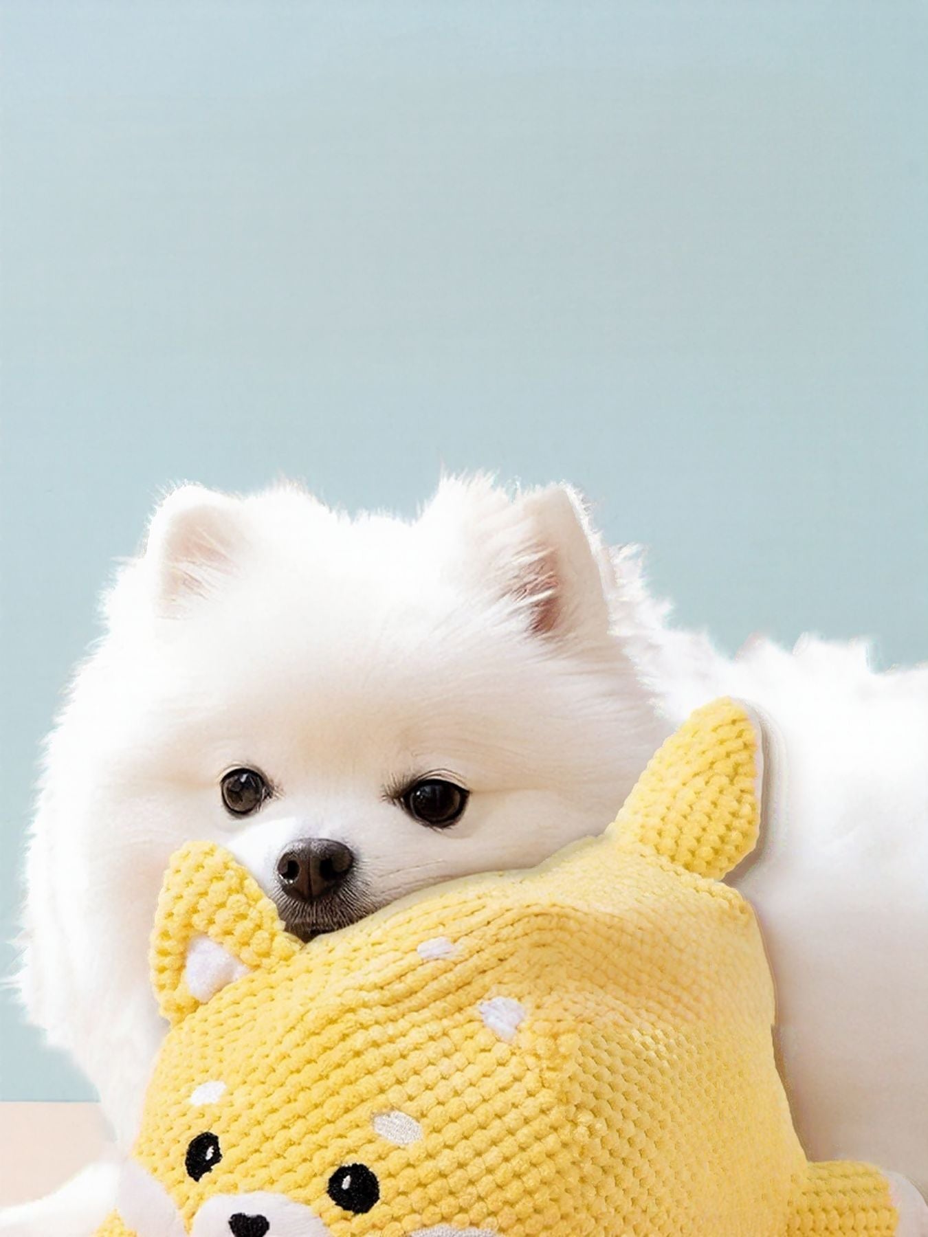 Squeaky Pet Plush Toy nicholesgifts