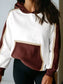 Color Block Patchwork Hooded Sweatshirt nicholesgifts