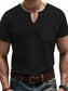 Men's Full Size Notched Short Sleeve T-Shirt Plus Size nicholesgifts