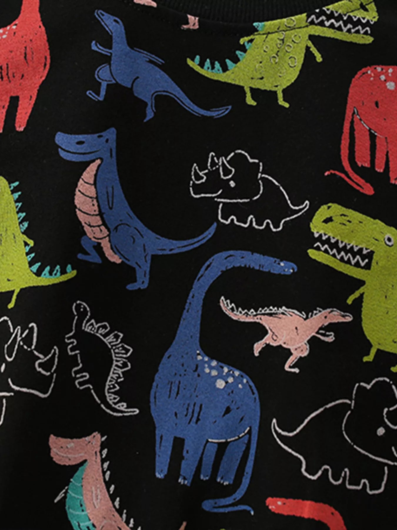 Children's Dinosaur Print Crew Neck Sweatshirt Trendsi