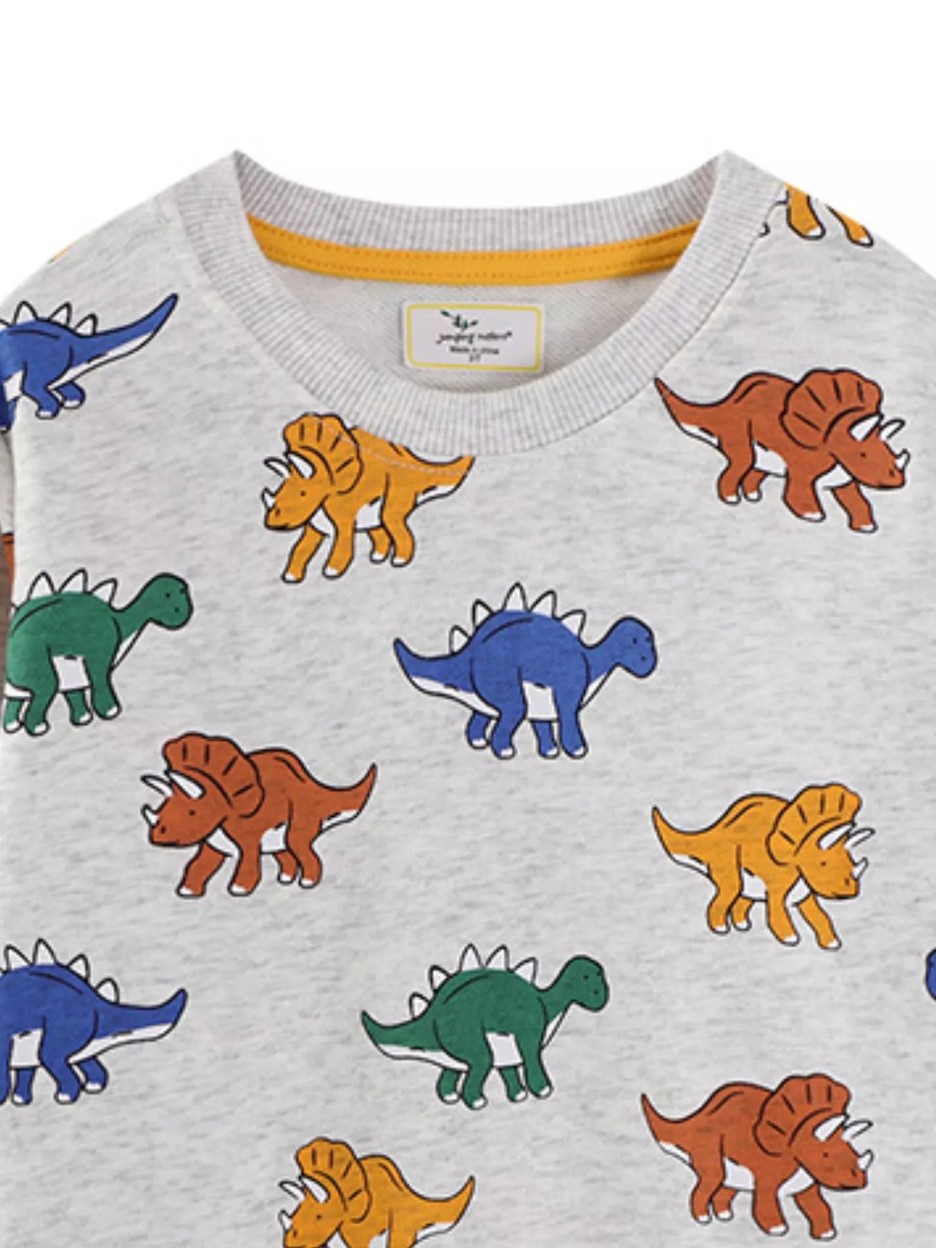 Children's Dinosaur Print Crew Neck Sweatshirt Trendsi