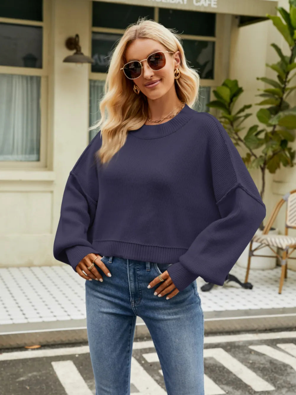 Round Neck Lantern Sleeve Sweater Trendsi