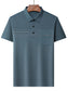 Men's Plus Size Classic Textured Stripe Casual Polo Shirt nicholesgifts