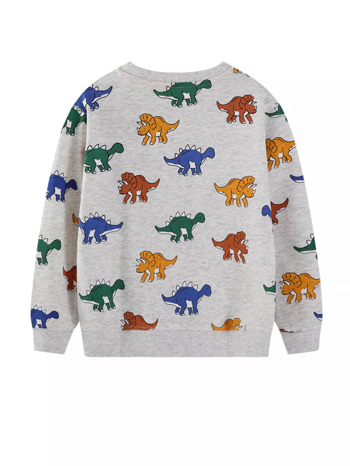 Children's Dinosaur Print Crew Neck Sweatshirt Trendsi