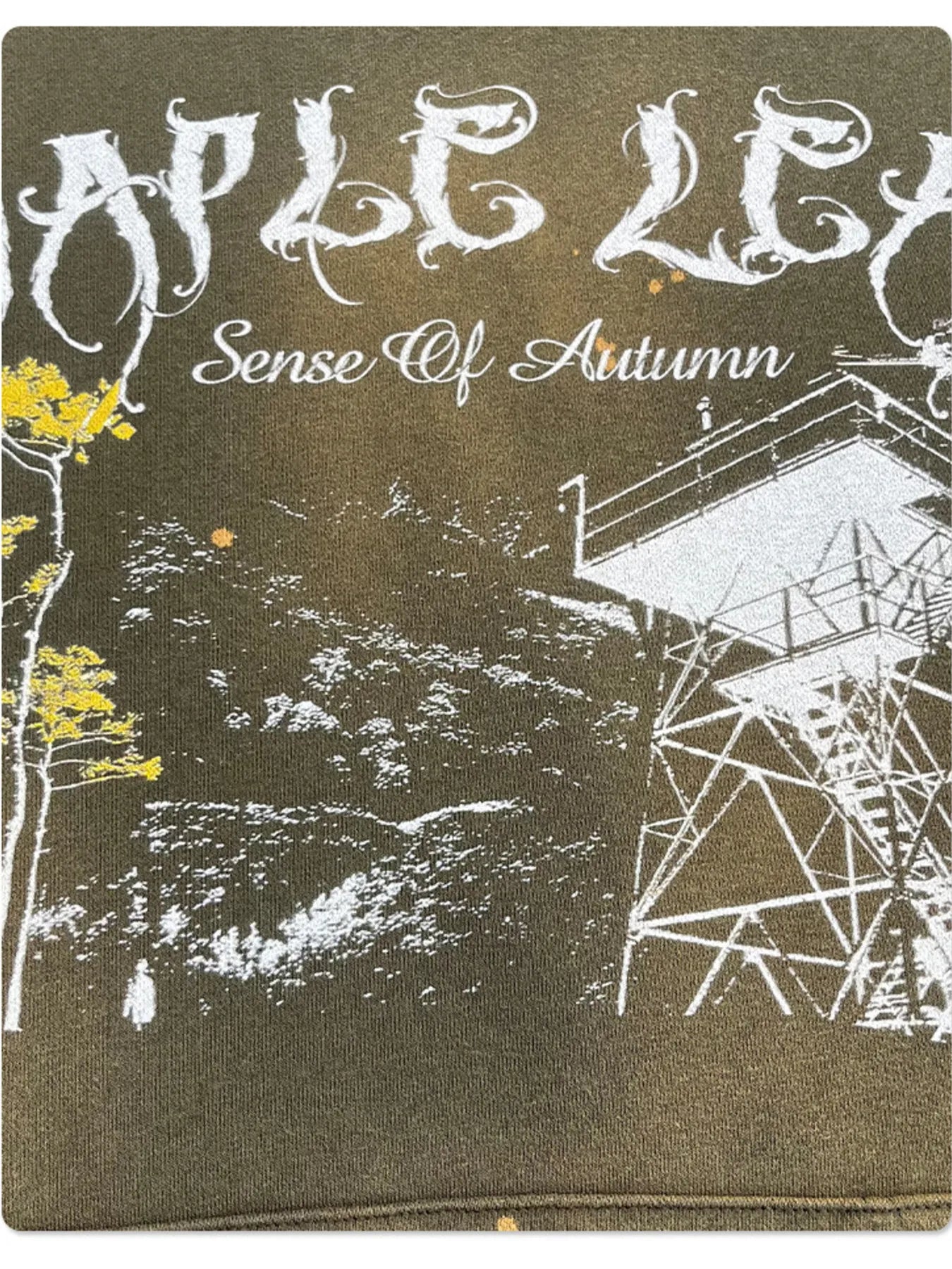 Men's Graphic Long Sleeve Hoodie NicholesGifts