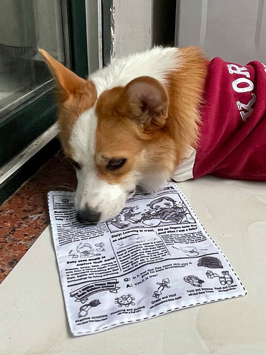 Newspaper Style Pet Sound Toy nicholesgifts
