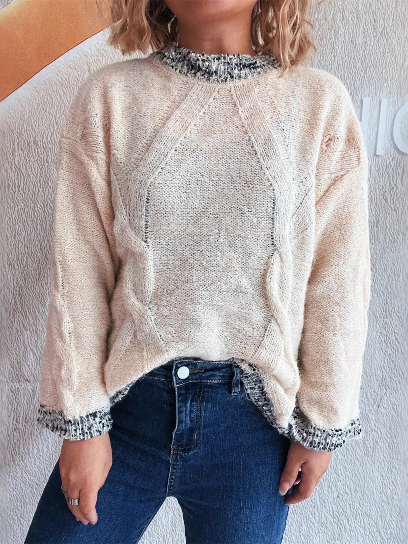 Women Contrast Trim Detail Round Neck Sweater