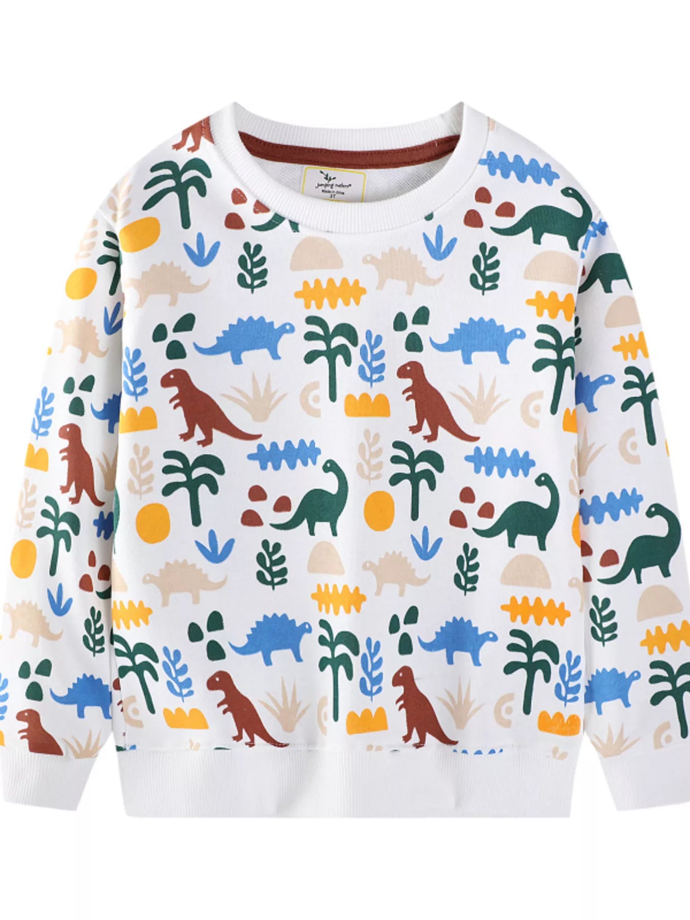 Children's Dinosaur Print Crew Neck Sweatshirt Trendsi