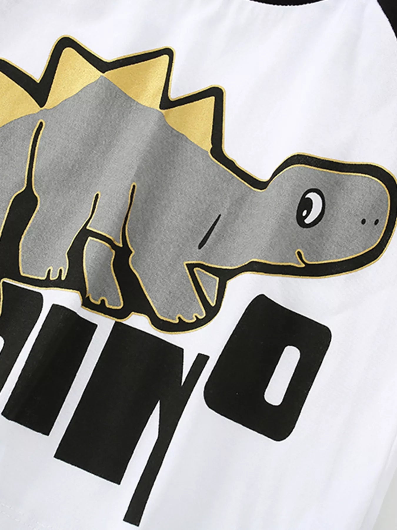 Children's Dinosaur Round Neck Top and Pants Set NicholesGifts