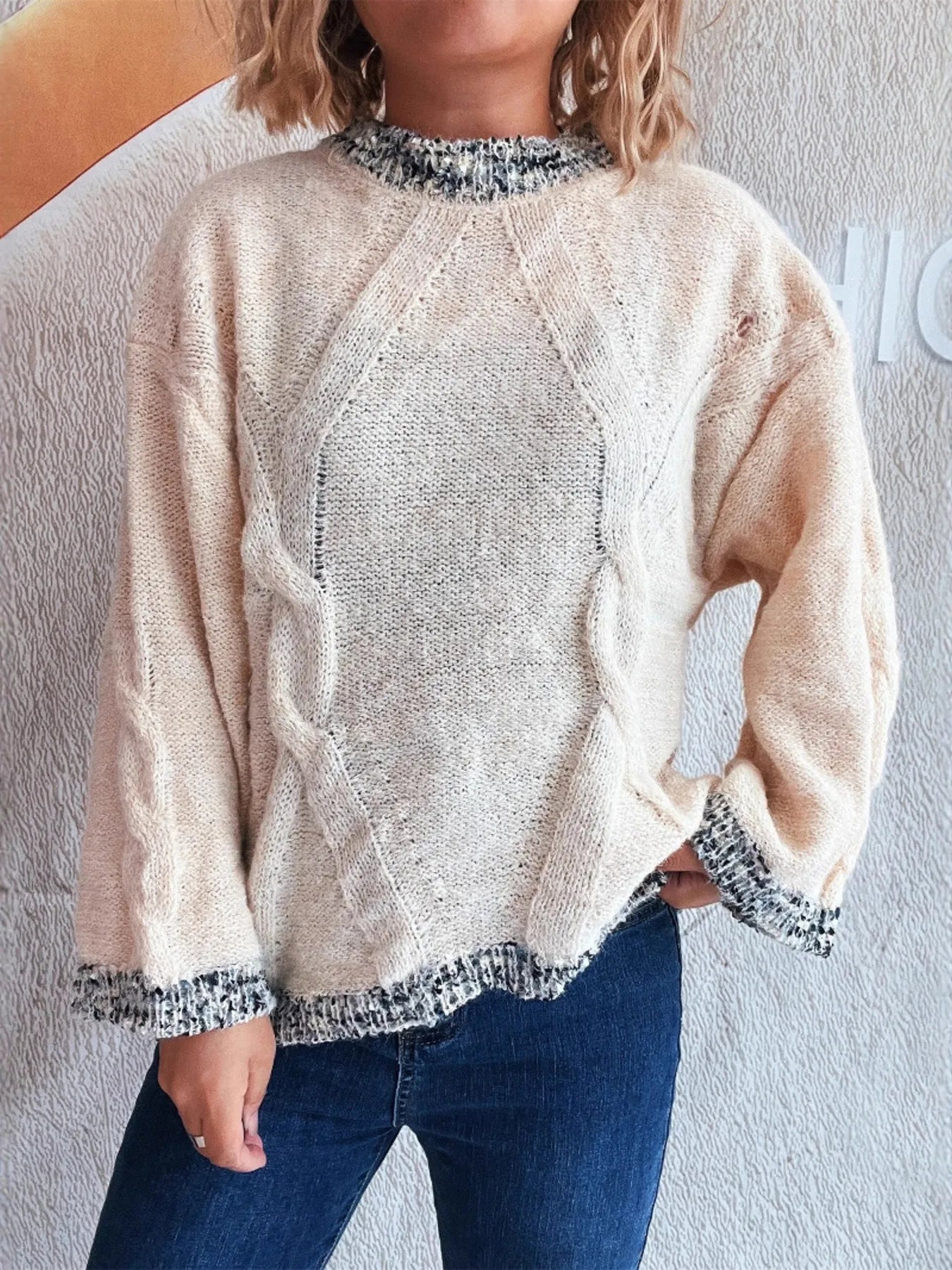Women Contrast Trim Detail Round Neck Sweater