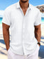 Men's Full Size Button Up Short Sleeve Shirt Plus Size nicholesgifts